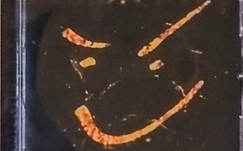 WhatsApp Image 2025-06-02 at 8.00.07 AM