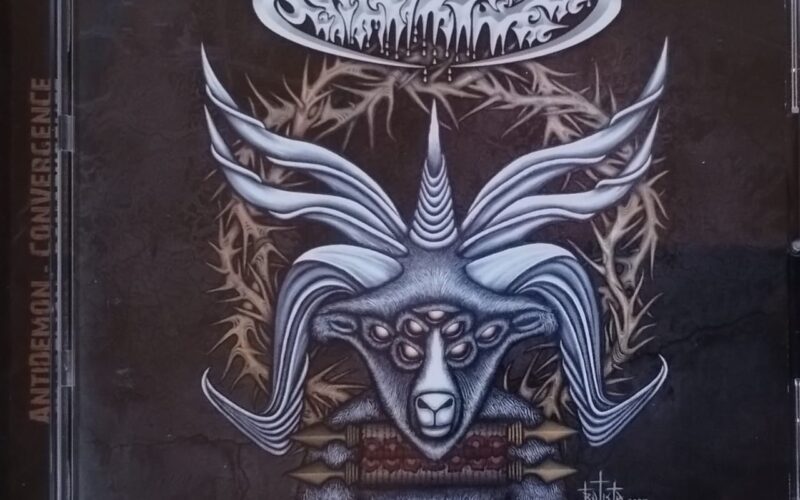 WhatsApp Image 2025-10-28 at 7.24.03 PM