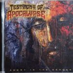 WhatsApp Image 2026-04-20 at 6.35.27 PM